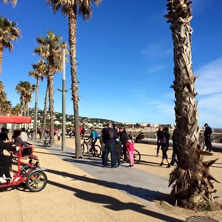 Moderne à Proche Des Plages - Fr-1-338-161 Appartamento Sète